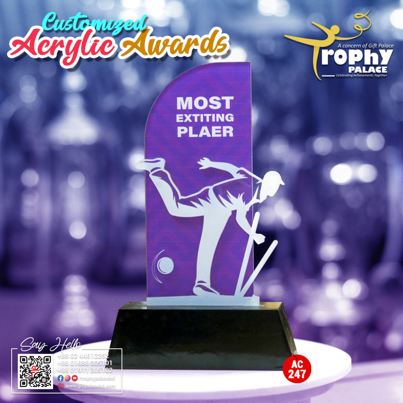 Acrylic Cricket award with wooden base-AC-247
