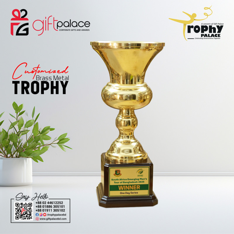 Customized Brass Metal Cricket Trophy with Wooden Base-CT-006